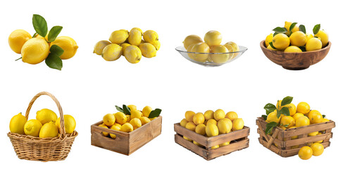 Lemon png isolated set in 3d transparent using for presentation.