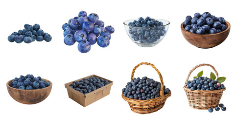 Blueberry png set collection in 3d transparent no background.