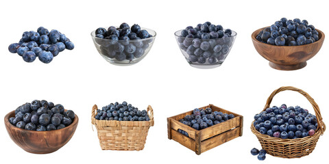 Blueberry png isolated set in 3d transparent using for presentation.