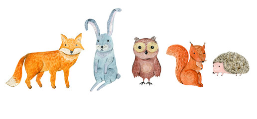 Cute watercolor owl, hedgehog, fox, hare and squirrel illustration. Funny hand drawn watercolour forest animals for kids card and print design, nursery wallpaper decor, textile, stickers