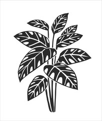 Vector hand-drawn illustration of a tropical plant isolated on a white background. A stamp with a floral element of South American nature. A sketch of Calathea