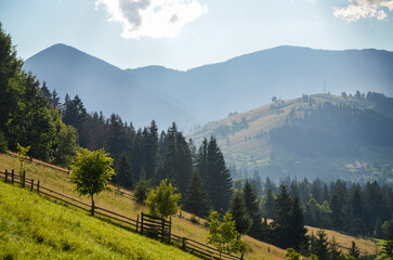 Scenic view with rolling hills covered in lush green grass and dense forests, majestic mountains in the background. Sunlight filters through the trees illuminating the verdant landscape. Carpathians
