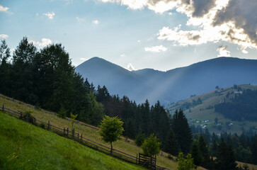 Scenic view with rolling hills covered in lush green grass and dense forests, majestic mountains in the background. Sunlight filters through the trees illuminating the verdant landscape. Carpathians