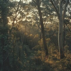 Dense Bushland Enchanted Woodland: A Vibrant Green Forest Teeming with Trees and Lush Undergrowth.