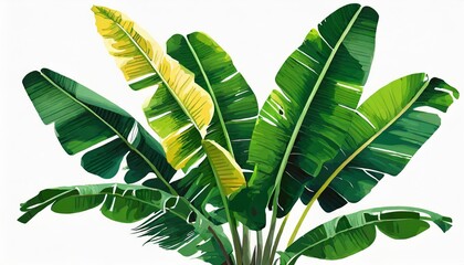 banana leaves and branch of isolated tropical green leaves exotic and unique digital illustration and painting of elements found in mainly brazilian forests and jungles