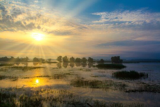 Sunrise over swamp area, Kopacki Rit nature park Park, Croatia, Europe