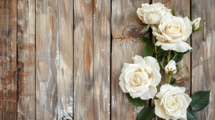 White roses set against a rustic wooden backdrop