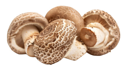 Shiitake mushrooms