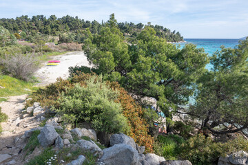Sithonia coastline near Koviou Beach, Chalkidiki, Greece