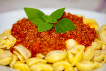 Tortellini or capeletti, isolated, in selective focus and fine details