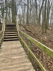 Fototapeta premium wooden bridge in forest