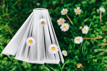 Books about spring and summer. Chamomiles in the pages of books close-up on green grass. - 794534716