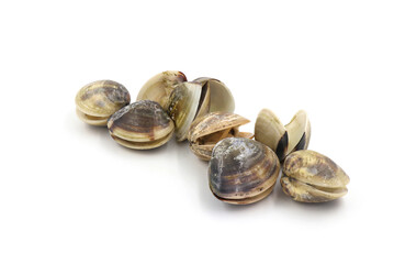 Closed up fresh baby clams, venus shell, shellfish, carpet clams, short necked clams, as raw food from the sea are the seafood ingredients. fresh clams isolated on white background.