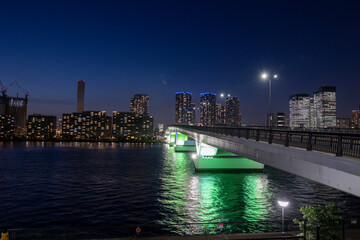Fototapeta premium 豊洲大橋 夜