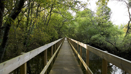 Fototapeta na wymiar Wooden pathway in Lagoas de Bertiandos
