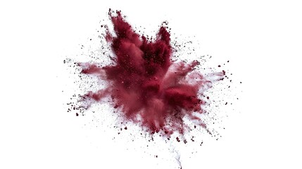 Maroon Powder Dust Explosion Splash Isolated on White Background - Holi Paint
