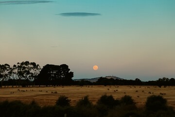 moon rise over the farm