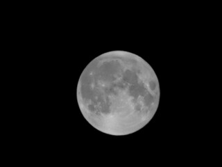Luna piena nel cielo della notte © GjGj