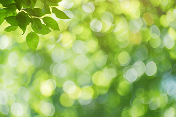 Obraz premium blurred photograph of summer. outoffocus photograph