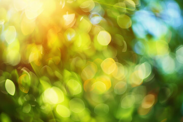 Obraz premium blurred photograph of summer. outoffocus photograph