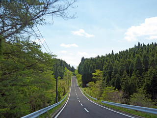 Travelling on Kyushu, driving on lonely road with green forest on roadsides on sunny day