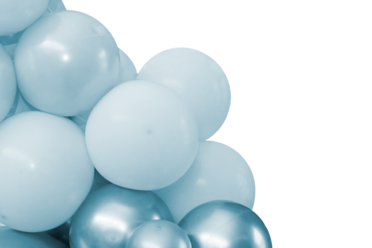 Decorative balloon sculpture. Close-up photograph.