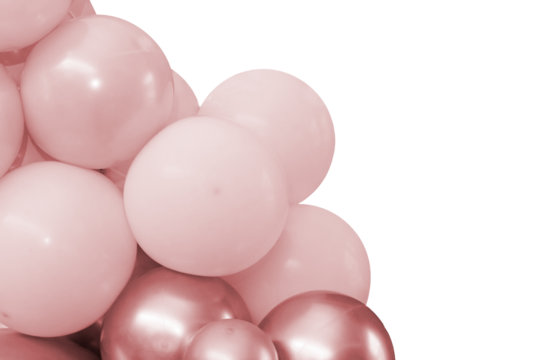 Decorative balloon sculpture. Close-up photograph.