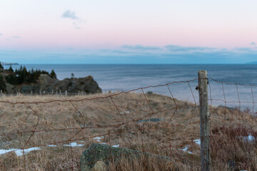 A box wire fence and wooden post divide a grassy field on the edge of a cliff. The ocean water is calm and smooth. The sunrise's cloudy sky is pale pink and blue. The coastline has evergreen trees.