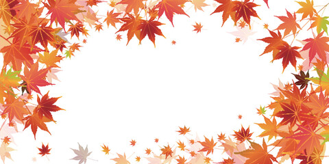 紅葉　葉　秋　背景	