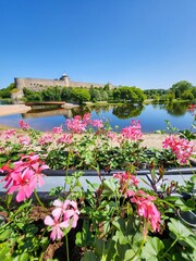 Vibrant pink geraniums bloom beside an ancient castle in a tranquil park, creating a picturesque...