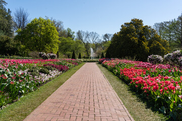 Tulips and Fountains at Longwood.