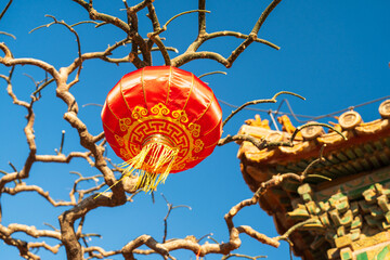 Red Chinese Lantern in Jingshan Park, Beijing During the Festival