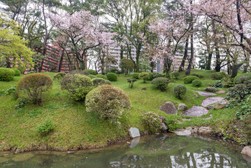 A beautiful garden with a pond and a tree with pink flowers