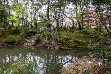 A beautiful garden with a pond and a tree with pink flowers