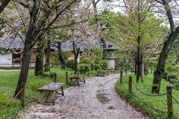 A path with a bench and a lantern in the middle