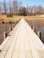 早春の水元公園の葭原の木道風景