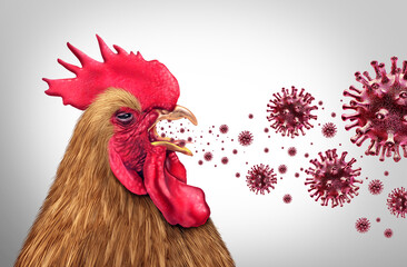 Spreading Bird Flu and Highly Pathogenic Avian Influenza or HPAI crisis and farm virus as a viral poultry infected chicken or livestock health risk for global infection outbreak or agricultural public - 794626724