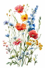 Bright and vivid watercolor summer wildflowers, isolated on white --ar 2:3 Job ID: 435faa35-6f84-4711-ad3f-899a0ff2832c
