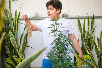 environmentally conscious child Watering plants in the urban garden