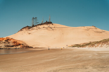Cape Kiwanda, Oregon 