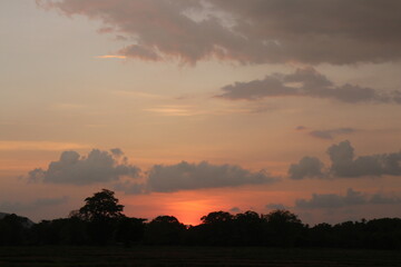 Fototapeta premium Sunset Sky cloud in the Morning Sunrise with Orange, Yellow Golden Hour Sunrise on Summer season, Horizon Dusk Sky Dramatic Nature Background
