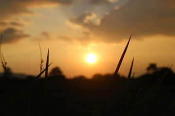 Sunset sky for background or sunrise sky and cloud at morning.