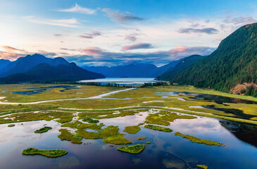 Aerial View of Canadian Mountain Landscape, Lake and Swamp. Nature Background.