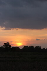 Fototapeta na wymiar Sunset sky for background or sunrise sky and cloud at morning.