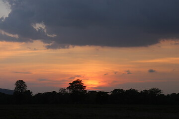 Sunset sky for background or sunrise sky and cloud at morning.