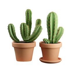 Cactus in a pot, isolated on white background