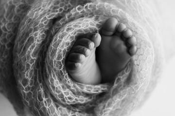 The tiny foot of a newborn baby. Soft feet of a new born in a wool blanket. Close up of toes, heels and feet of a newborn. Black and white Macro photography. - obrazy, fototapety, plakaty