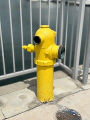 Yellow marina standpipe hydrant