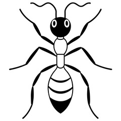 illustration of a insect