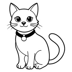 black and white cat